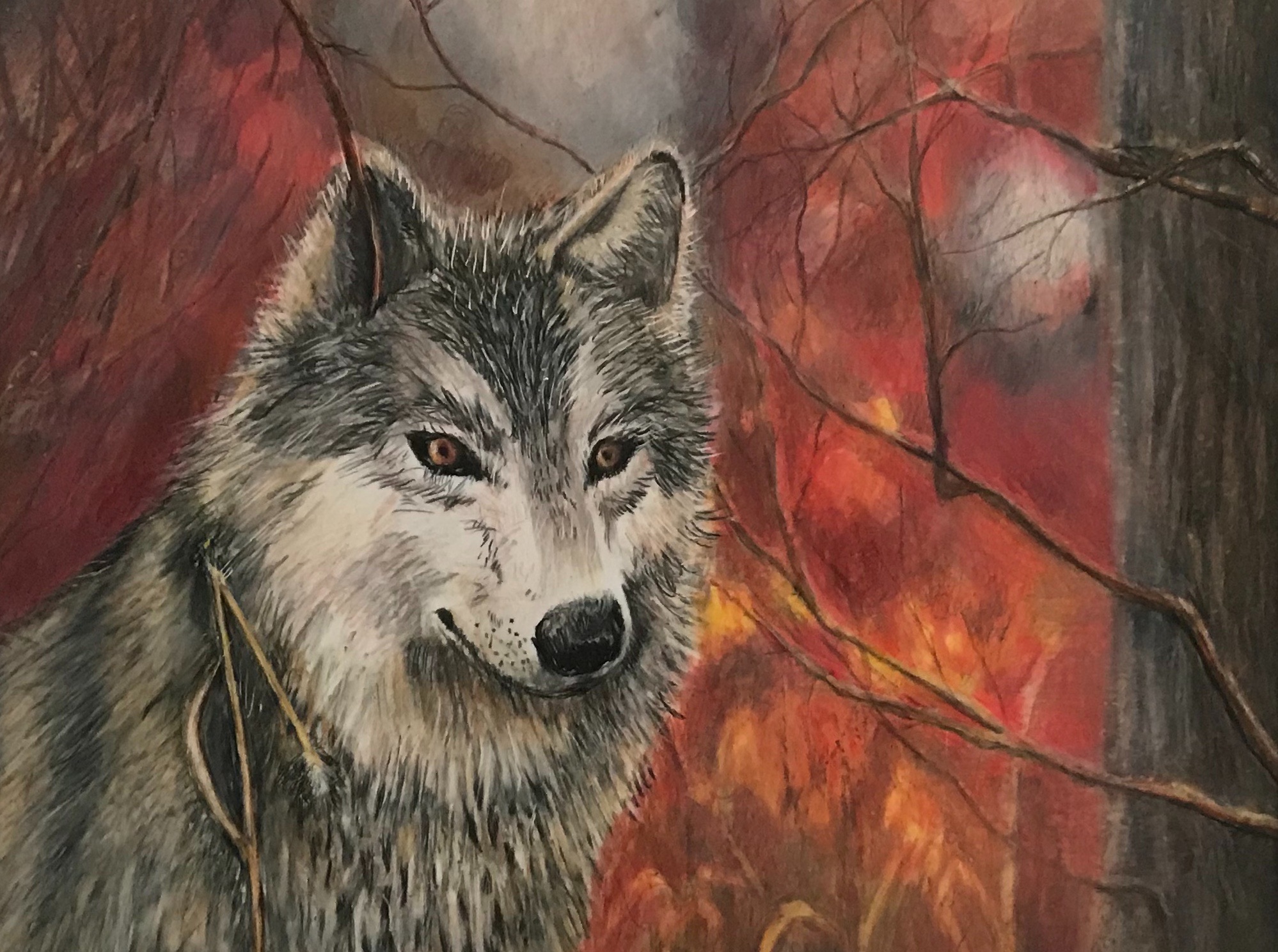 Wolf in Autumn