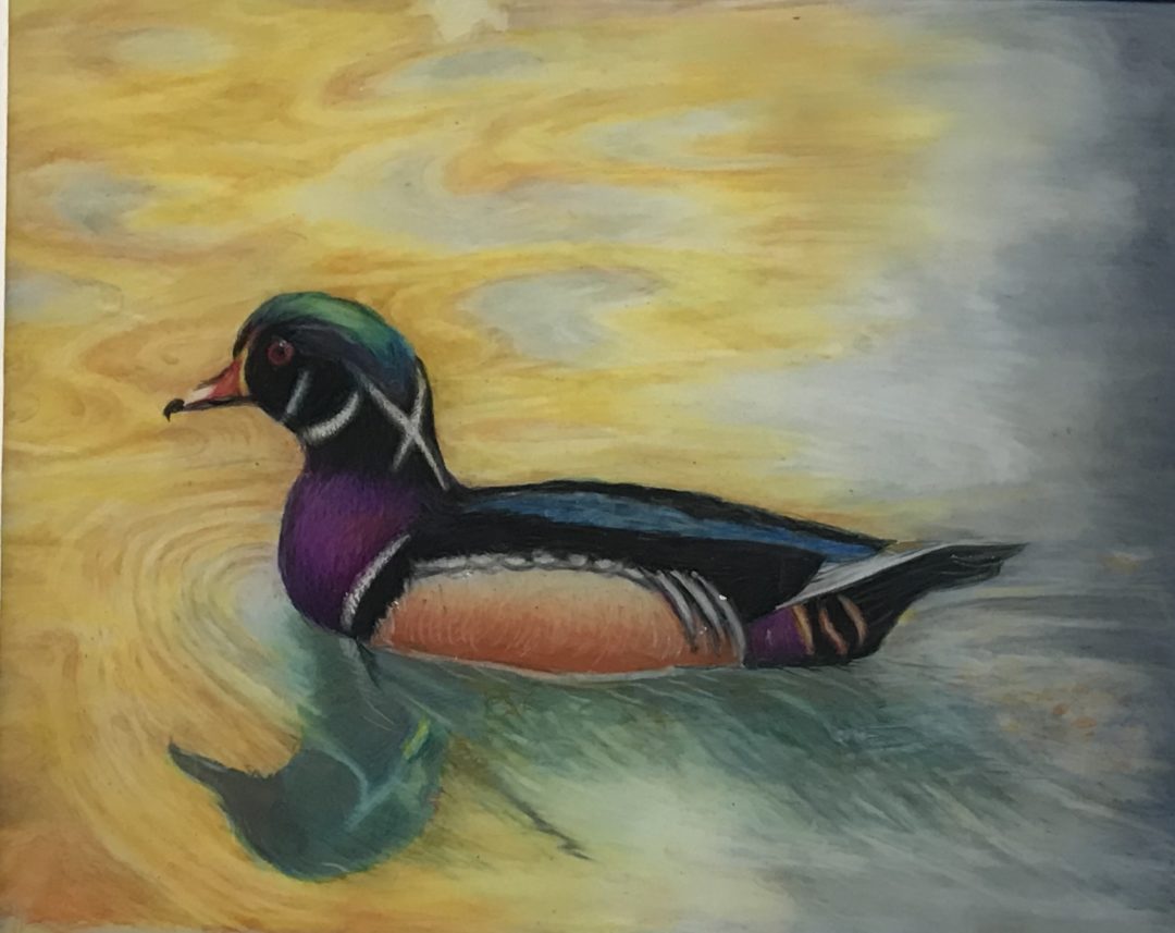 Surfaces Colored Pencil on Drafting Film prismacolor on DuraLar